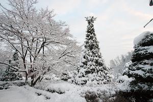  교회 설경