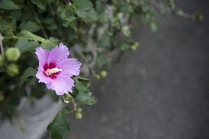  둘러보기