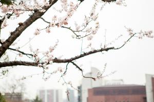  주일 2부예배