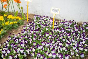  교회 둘러보기