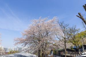  주일 2부예배