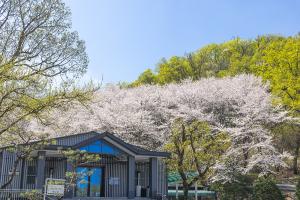  주일 2부예배